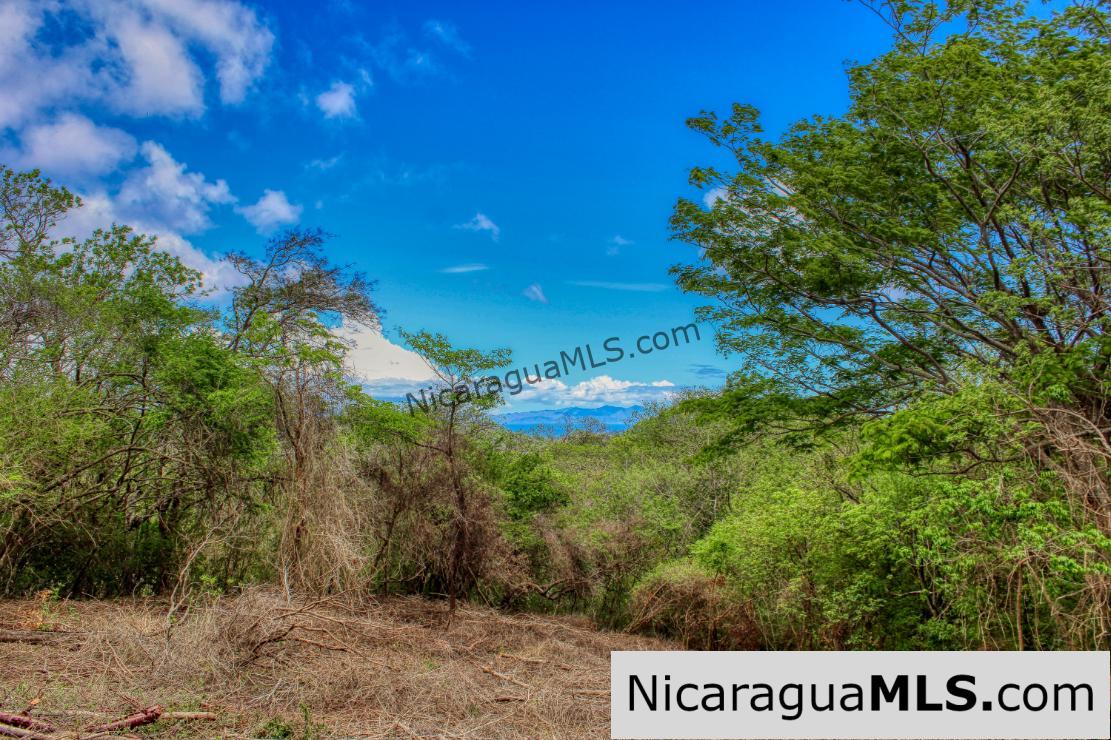 Eco Estate View Property 1.5 Acres Las Fincas de Escamequita - Image 3