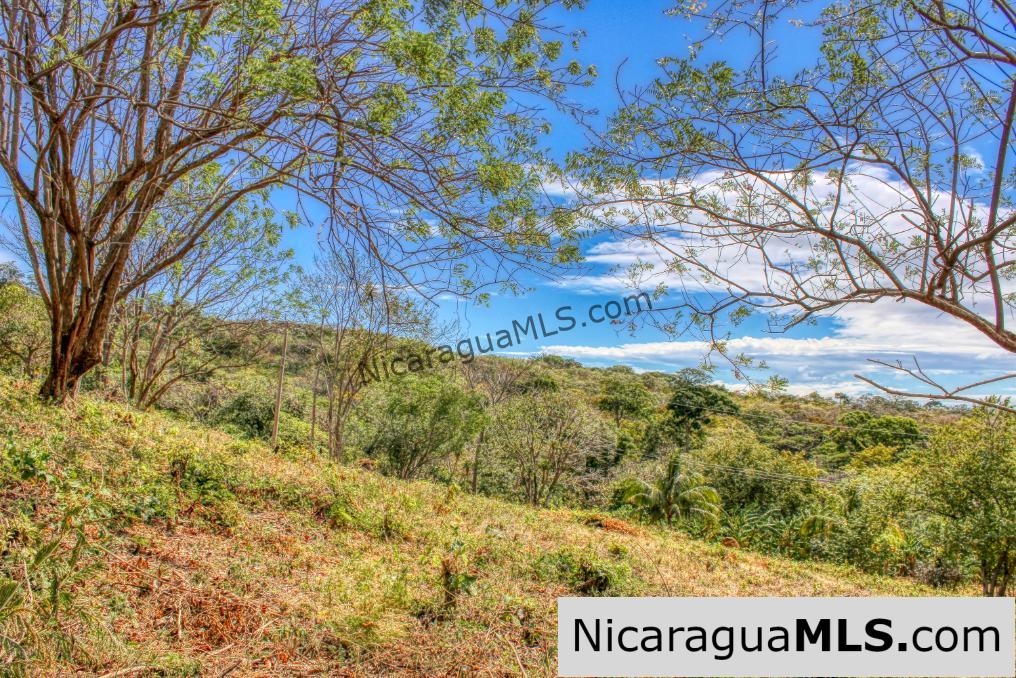 SOLD - Half Acre Lot Luxury Life Development Tree Casa FIRE SALE - Image 9