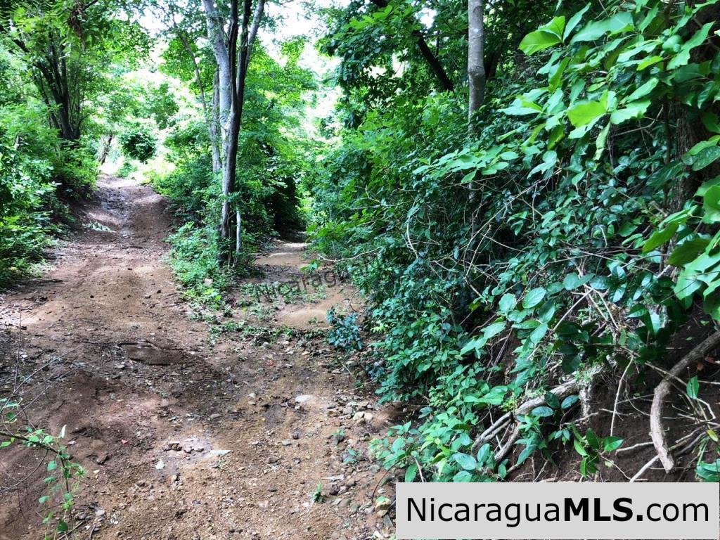 4 Acres in Las Delicias on the Road to Playa Coco - Image 5