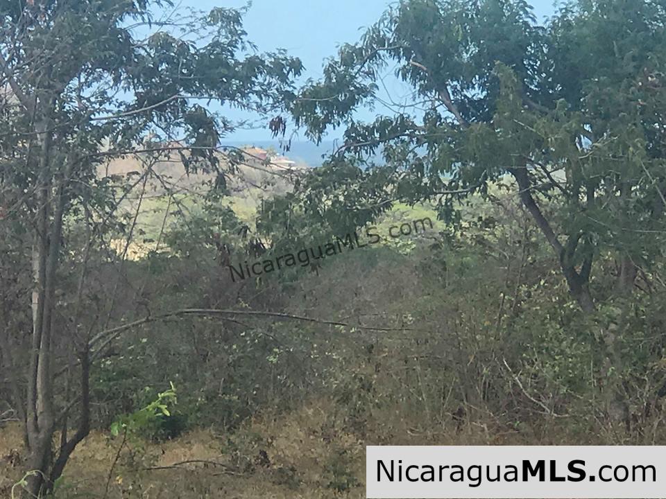 Ocean View Lot 46 for sale in Lomas de Palermo Overlooking SJDS - Image 16