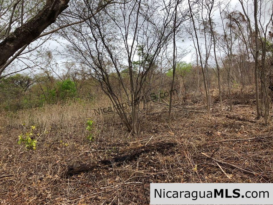 ¼ Acre Ocean View Lot for Sale at Playa Yankee - Image 6