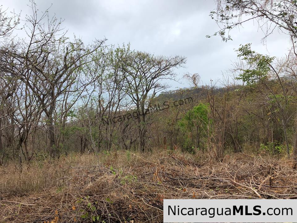 ¼ Acre Ocean View Lot for Sale at Playa Yankee - Image 12