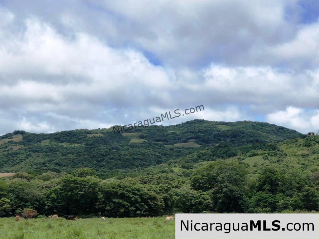 4 Acres in Las Delicias on the Road to Playa Coco