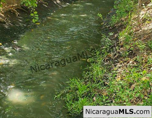 Price Drop Alert! Your Chance to Own a Banana Paradise near Rivas