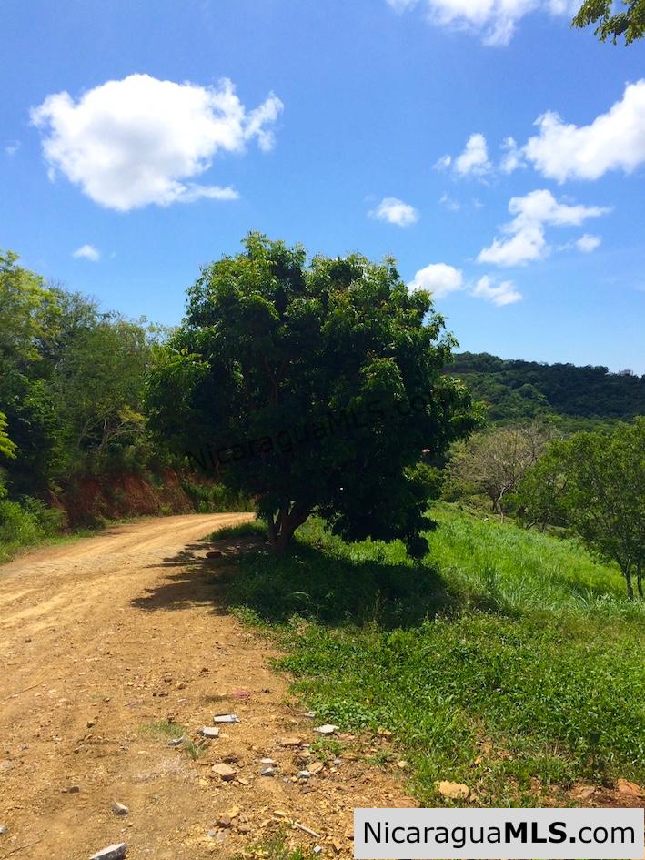 El Encanto del Sur Lot 7 - Image 5