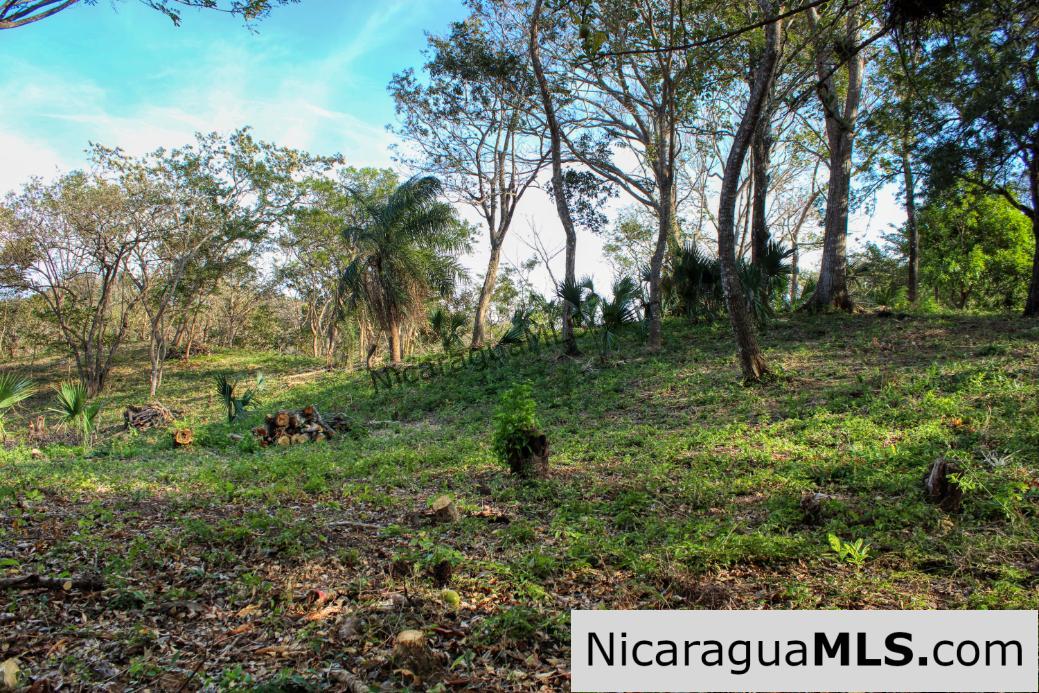 1.75 acres Nestled in Nature - Financing Available! - Image 10