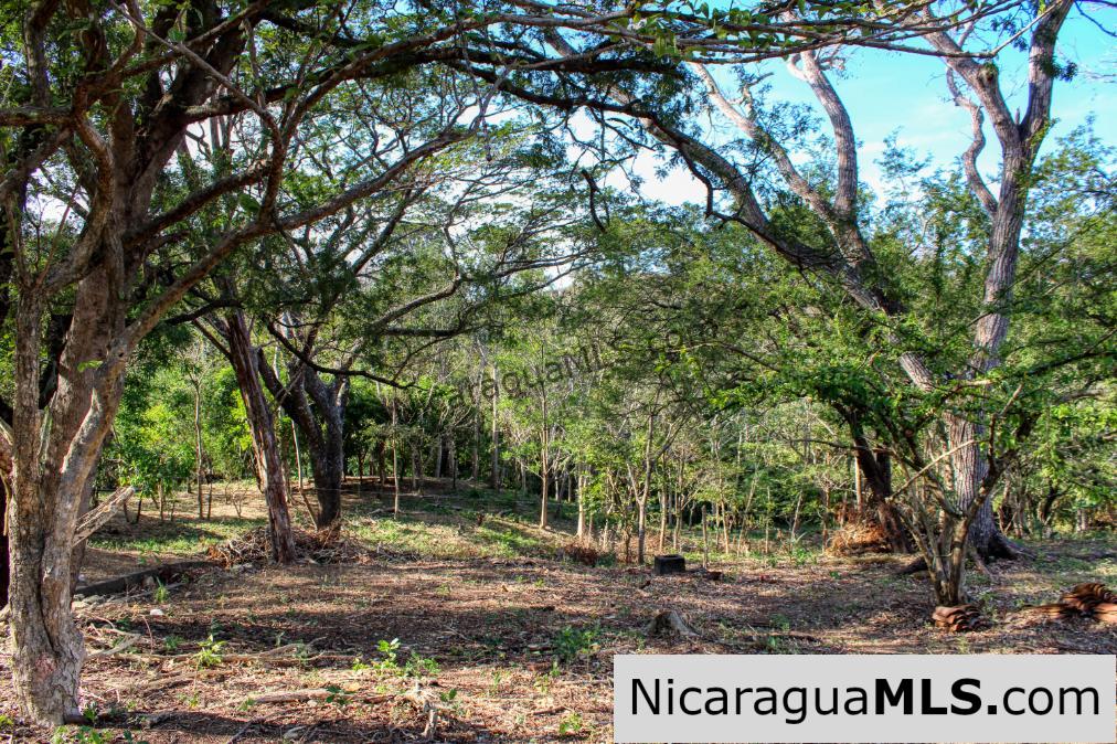 1.75 acres Nestled in Nature - Financing Available! - Image 12