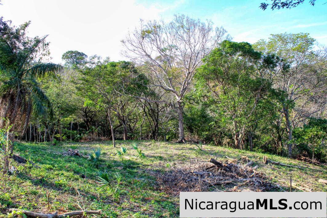 1.75 acres Nestled in Nature - Financing Available! - Image 14