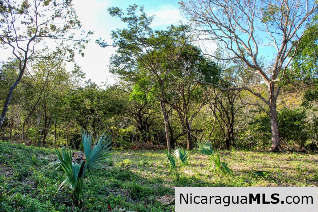 1.75 acres Nestled in Nature - Financing Available! - Image 15