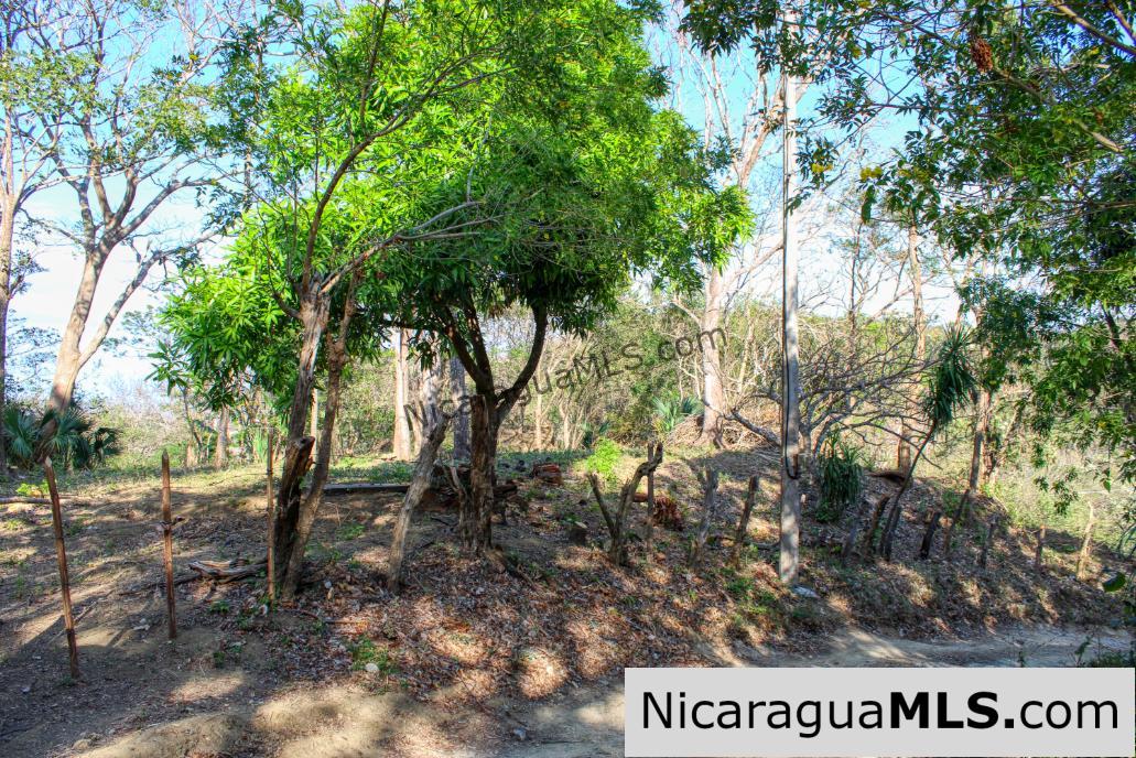 1.75 acres Nestled in Nature - Financing Available! - Image 17