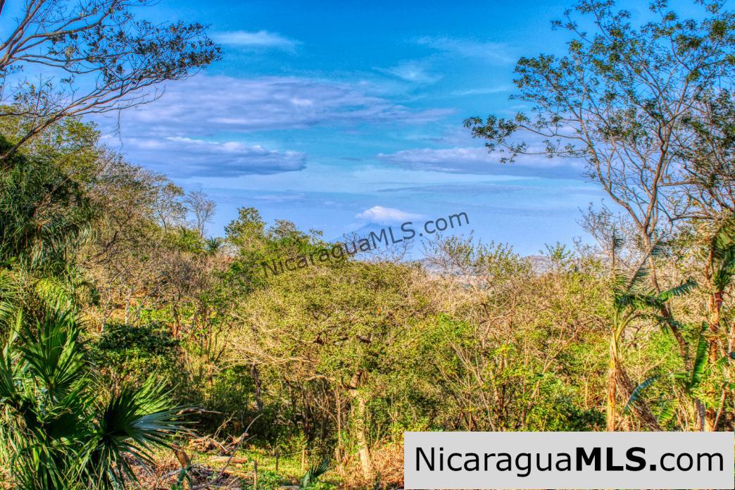 1.75 acres Nestled in Nature - Financing Available! - Image 3