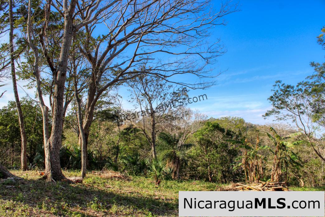 1.75 acres Nestled in Nature - Financing Available! - Image 6