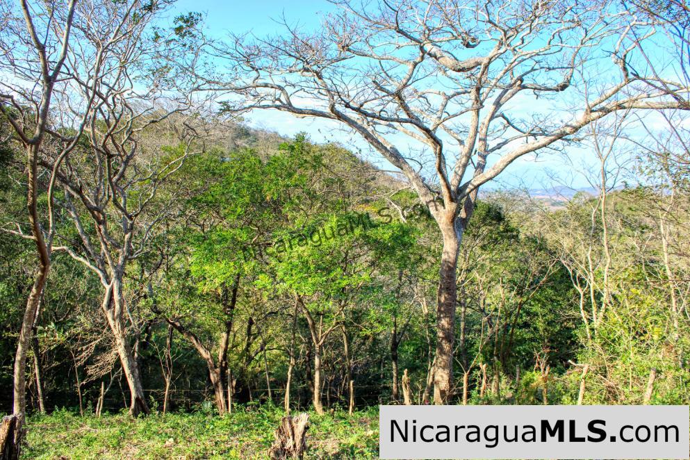 1.75 acres Nestled in Nature - Financing Available! - Image 7