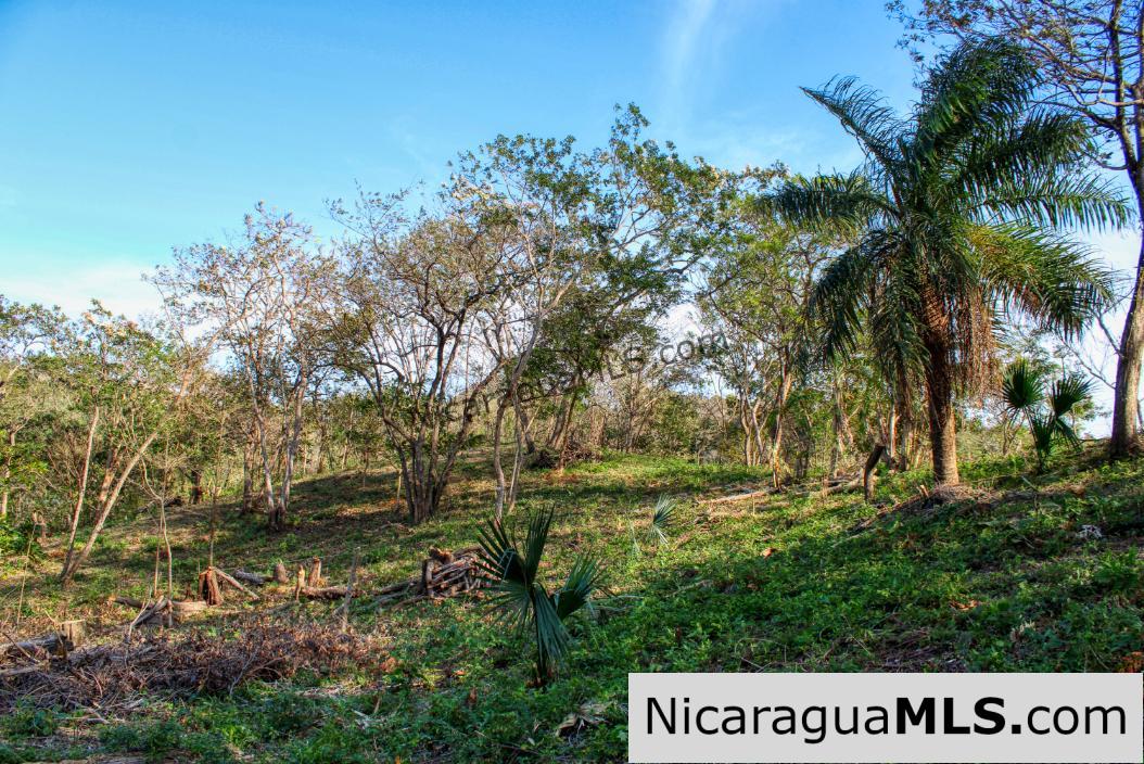 1.75 acres Nestled in Nature - Financing Available! - Image 8