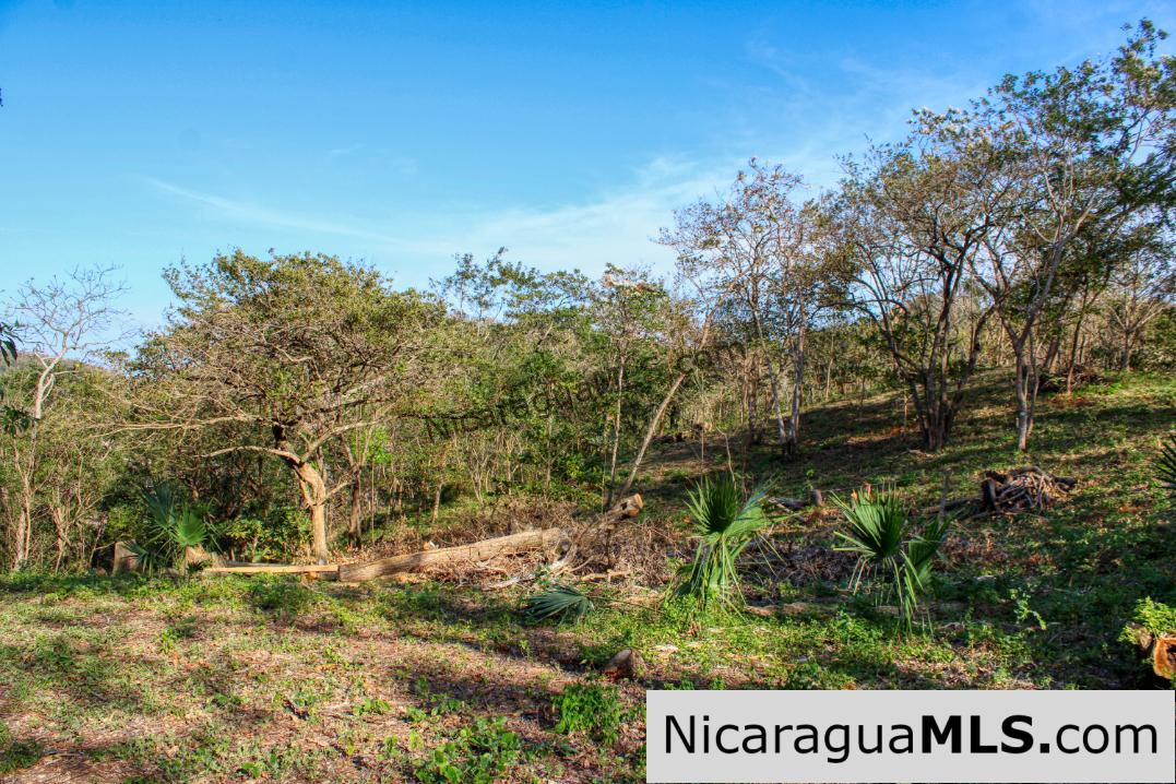 1.75 acres Nestled in Nature - Financing Available! - Image 9