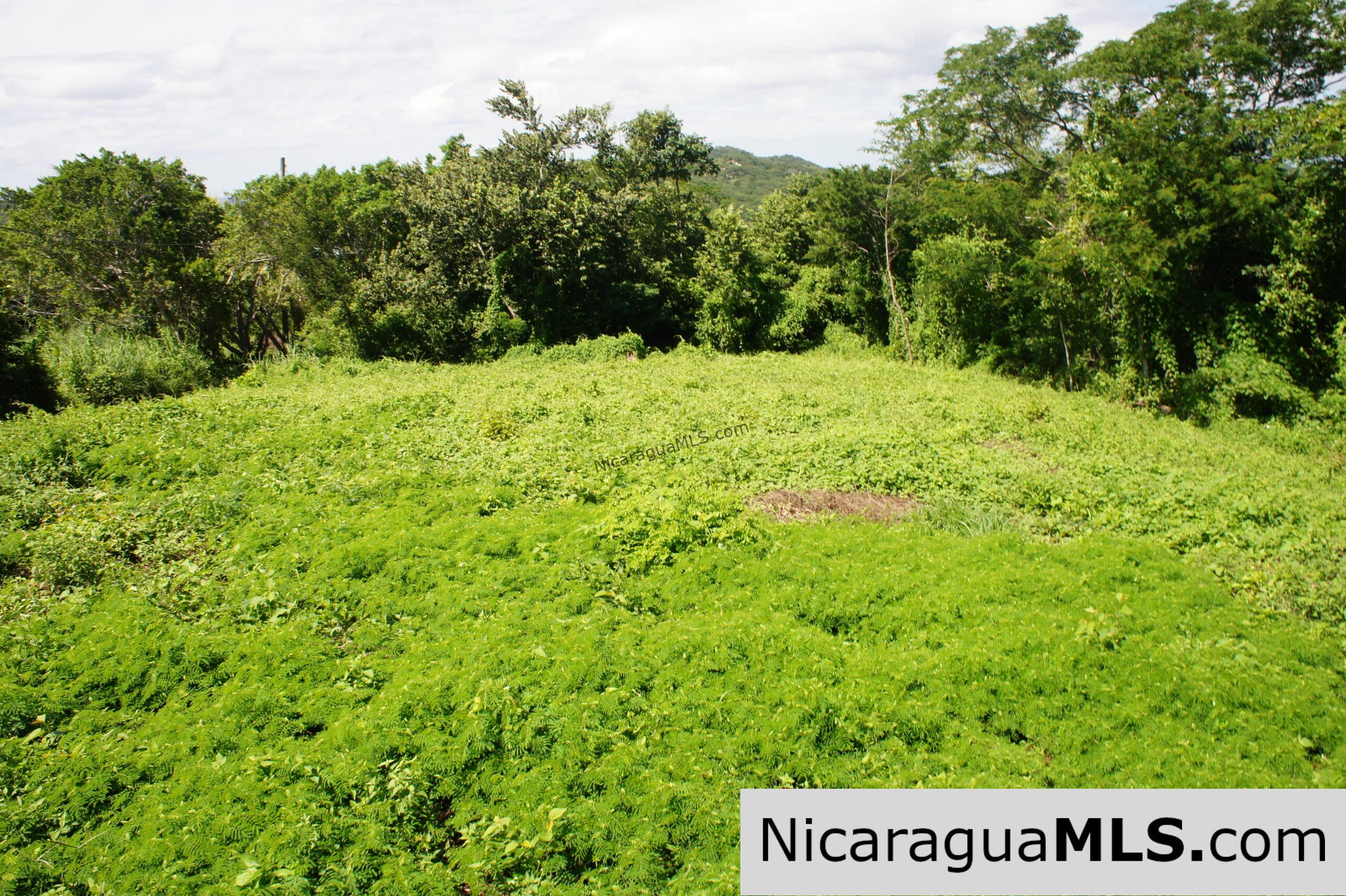 Fantastic Affordable Ocean View Lot - Image 2