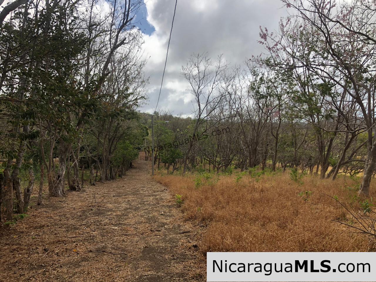 El Oro Flat Lot Ready to Build with Access to Water & Electricity - Image 15