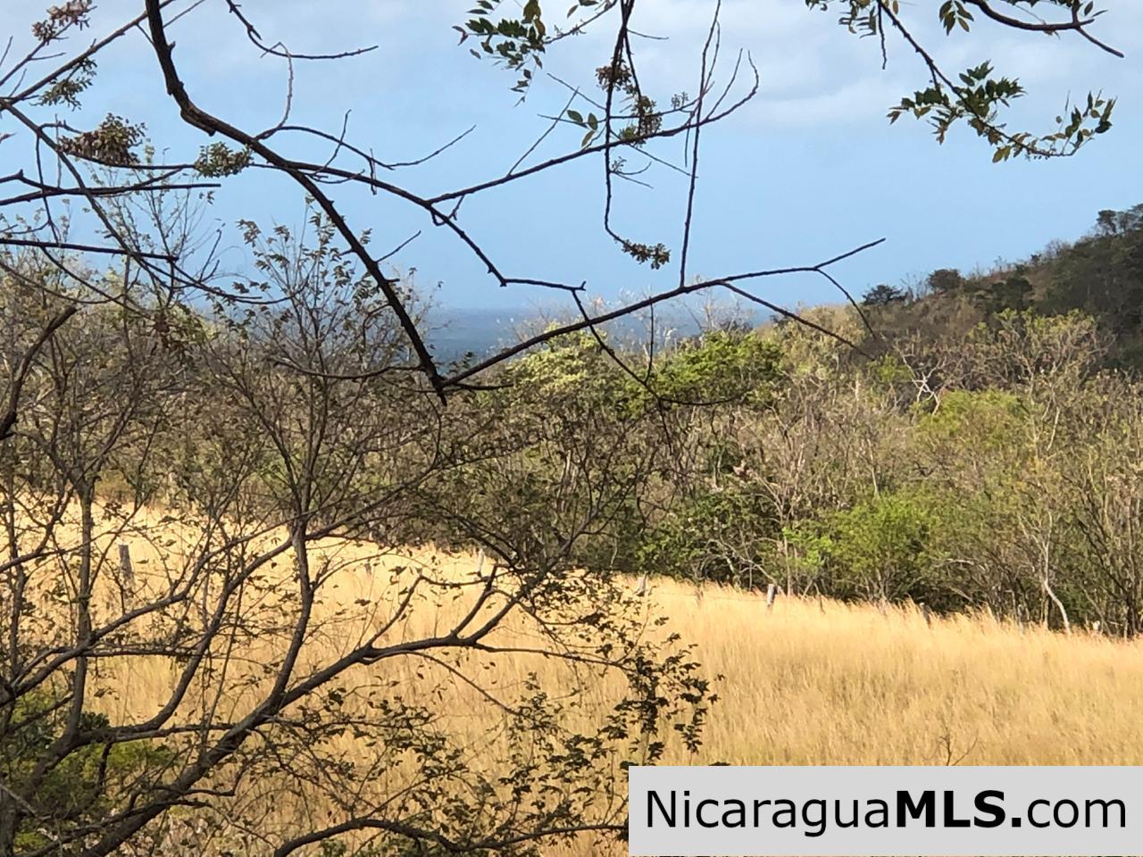El Oro Flat Lot Ready to Build with Access to Water & Electricity - Image 18