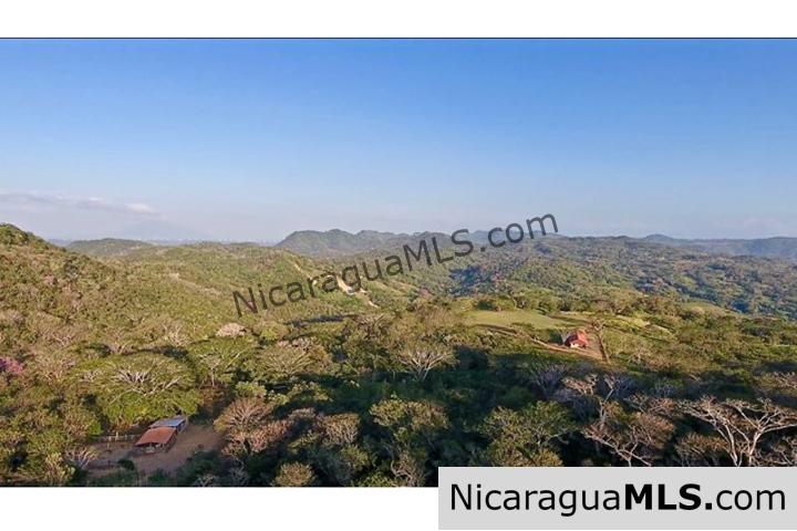 Large Parcels at Finca Las Nubes Organic Farm - Image 3