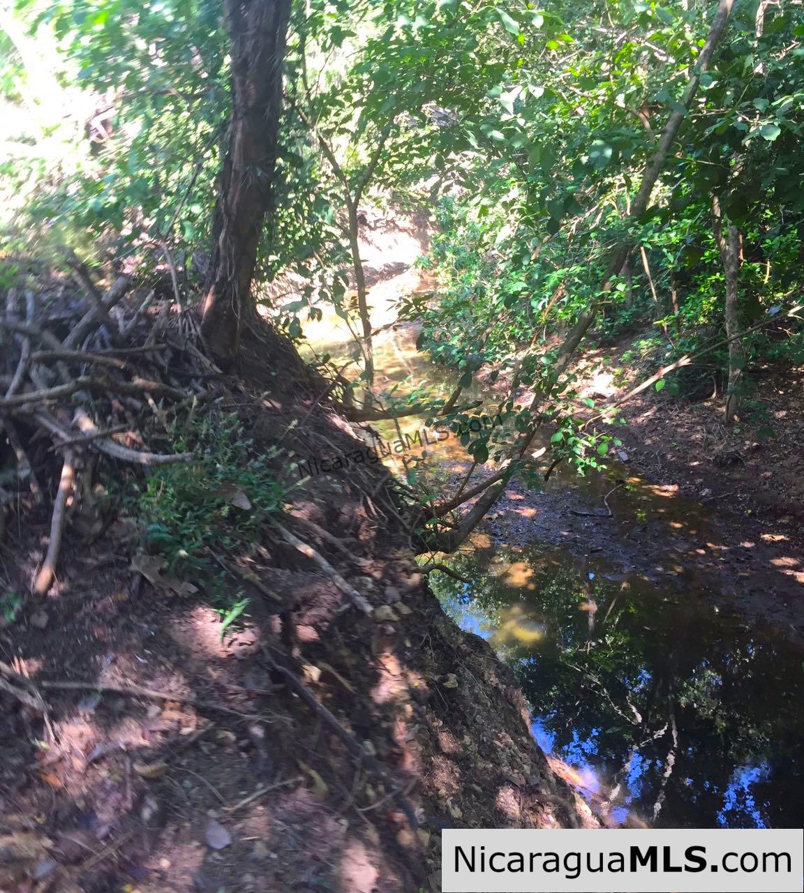 Commercial acreage within walking distance to Playa Marsella and Maderas - Image 5