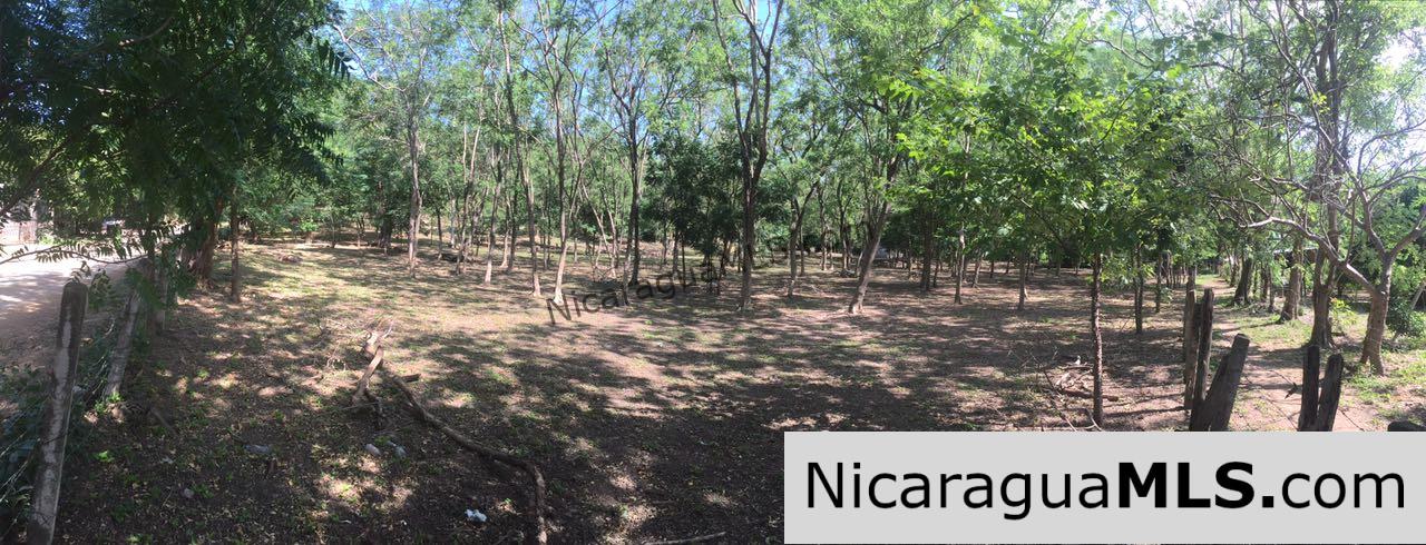 Commercial acreage within walking distance to Playa Marsella and Maderas - Image 12