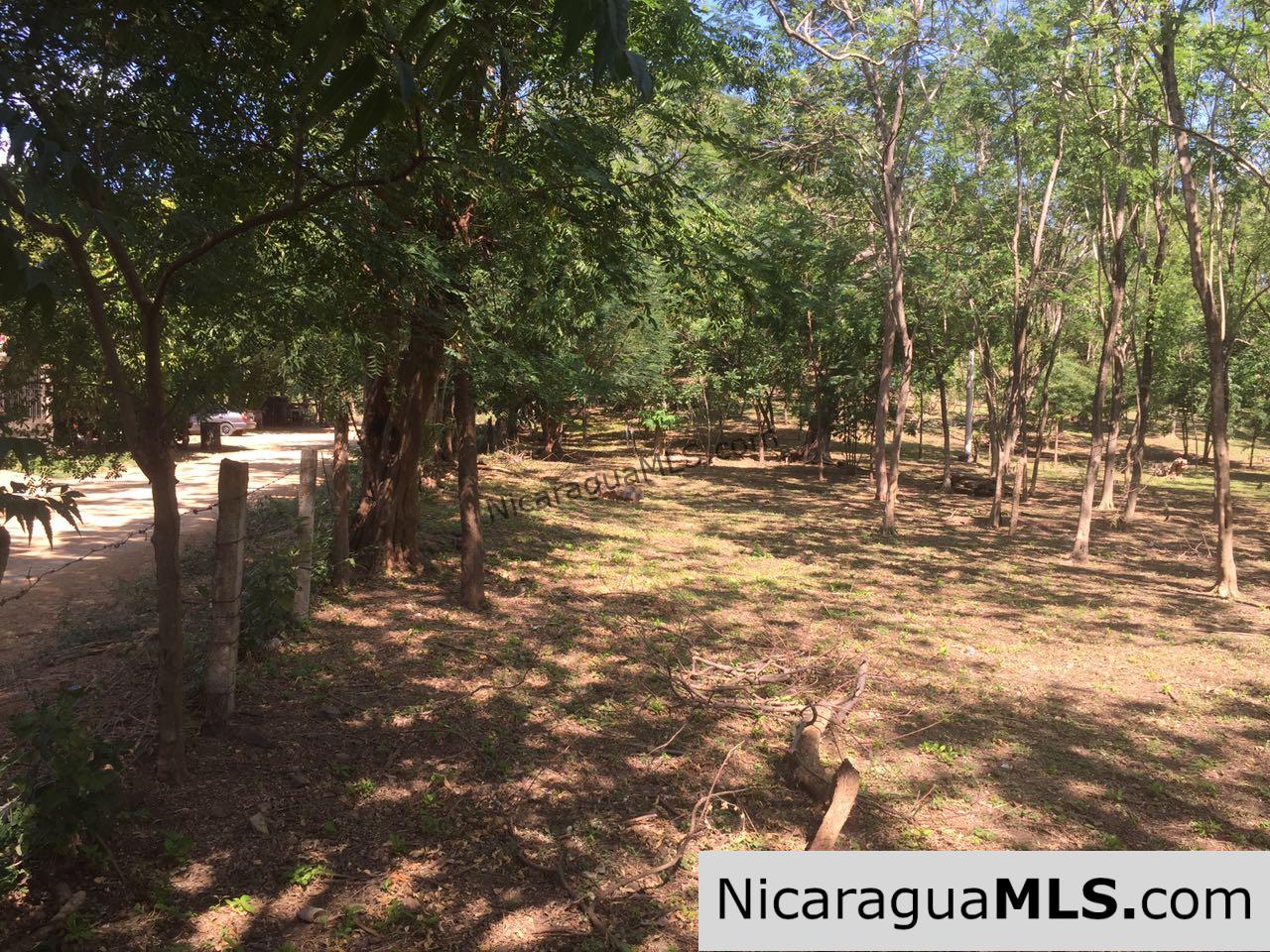 Commercial acreage within walking distance to Playa Marsella and Maderas - Image 15
