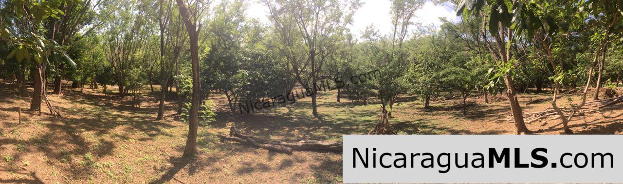 Commercial acreage within walking distance to Playa Marsella and Maderas - Image 18