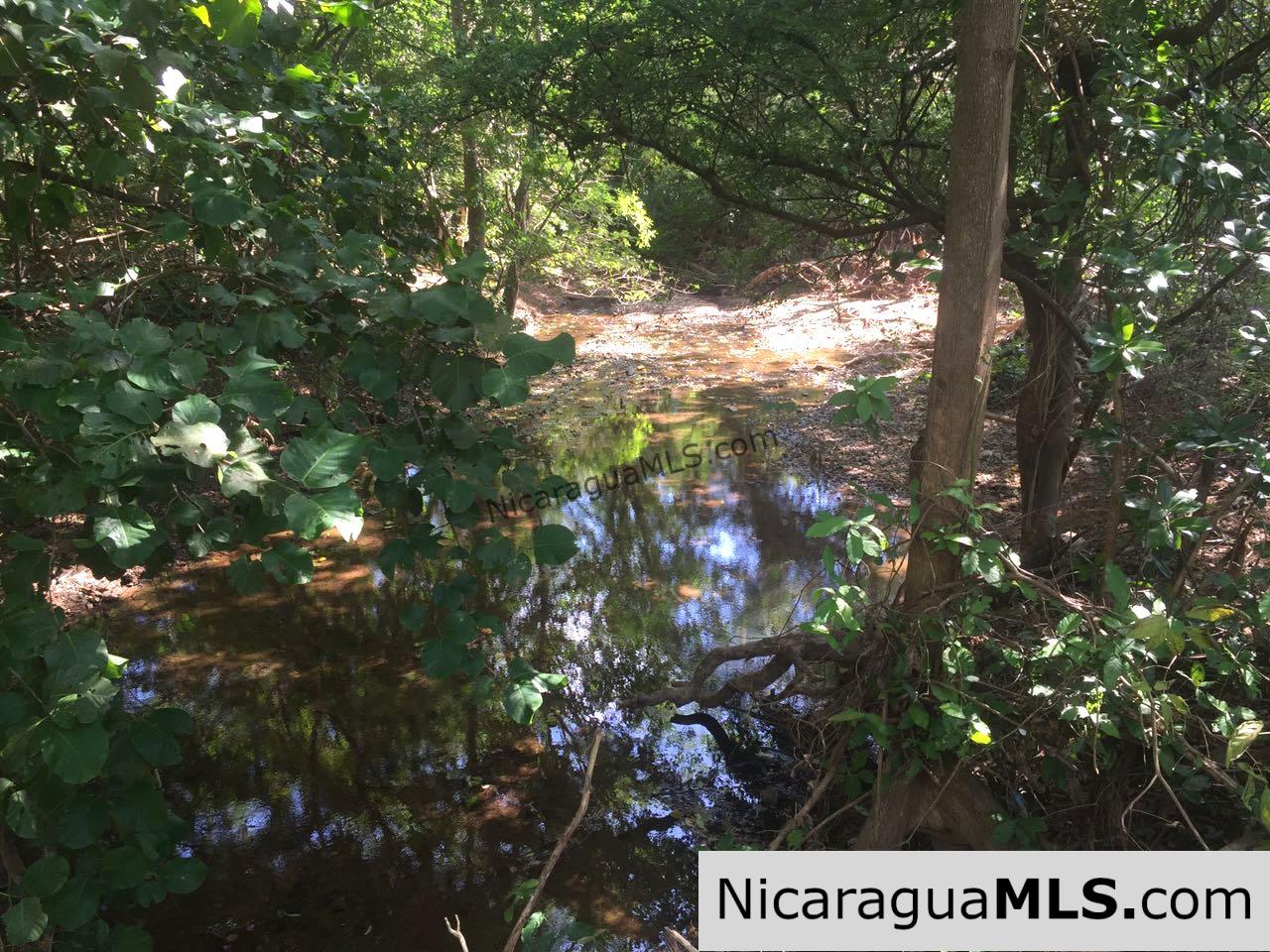 Commercial acreage within walking distance to Playa Marsella and Maderas - Image 20
