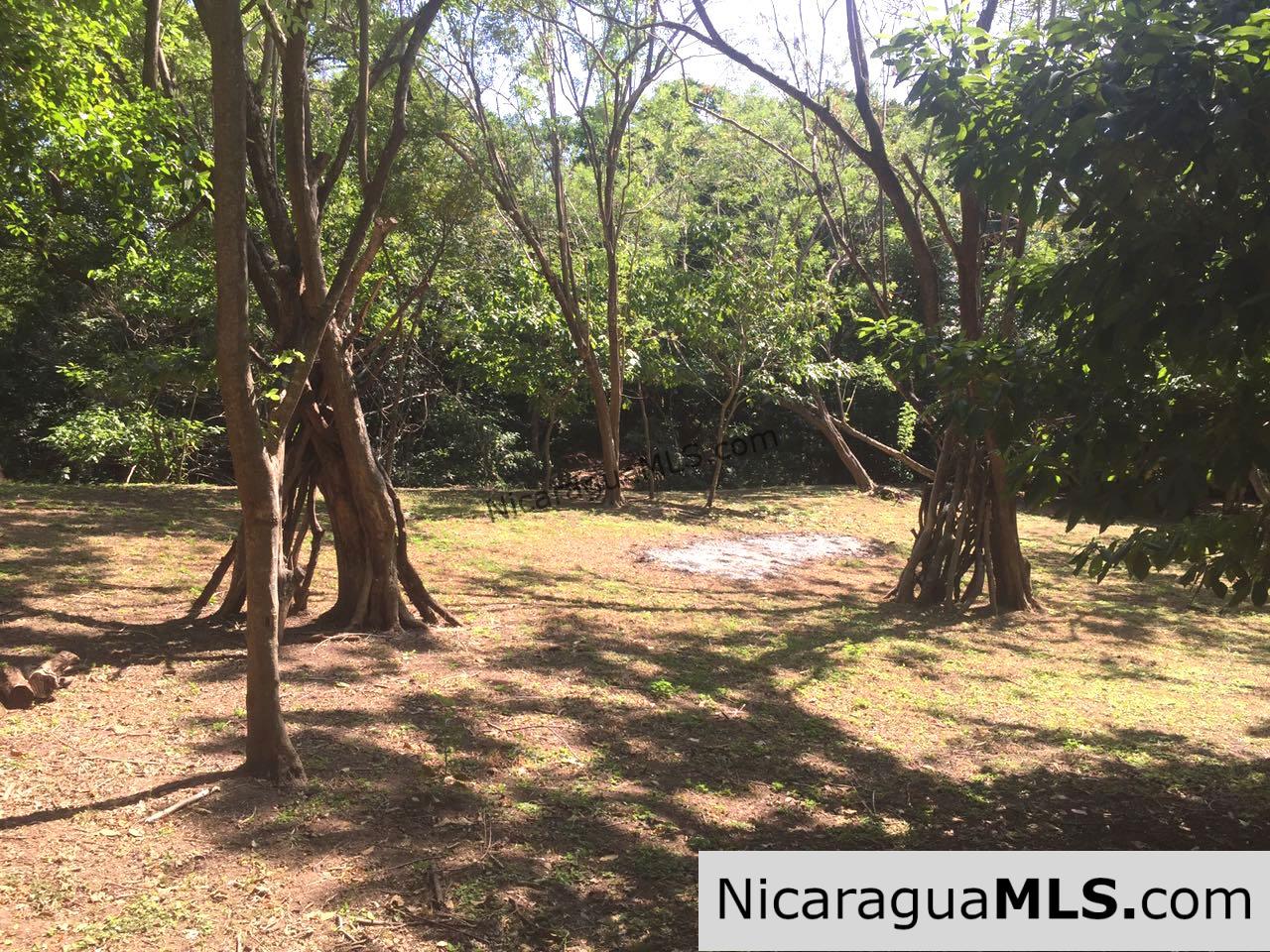 Commercial acreage within walking distance to Playa Marsella and Maderas - Image 16