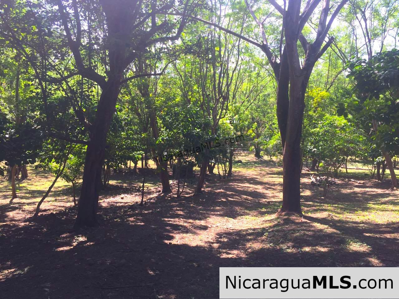 Commercial acreage within walking distance to Playa Marsella and Maderas - Image 17