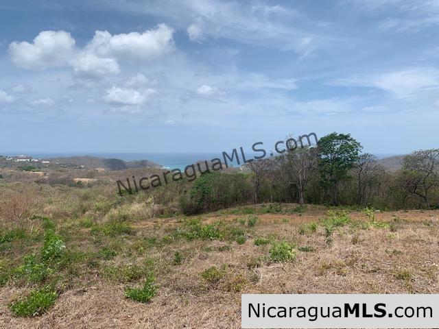 Amazing Ocean Views and Direct Access to Tree Casa Resort - Image 19