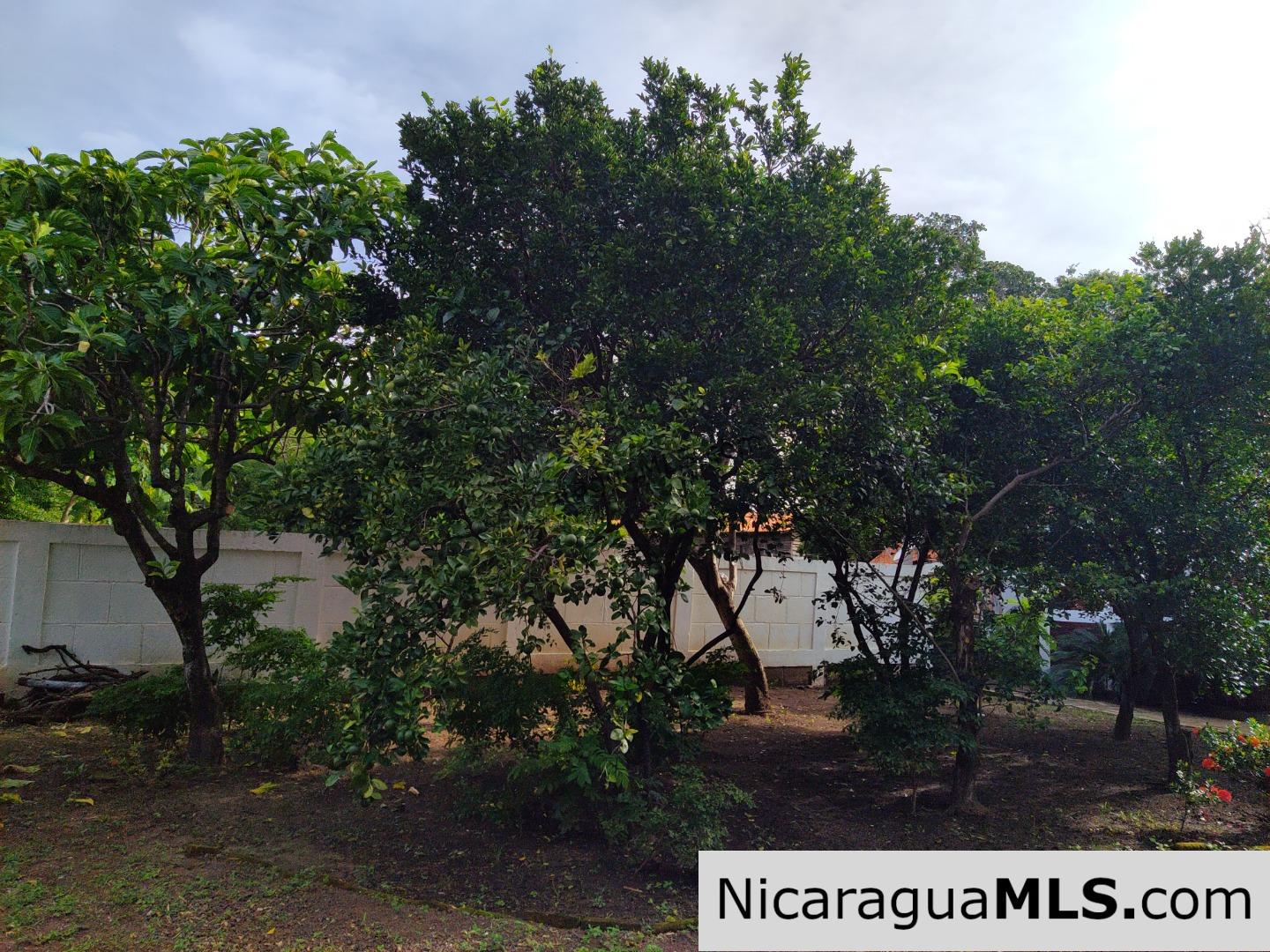 SOLD - Beachfront Home in Nicaragua at Playa Marsella - Image 20