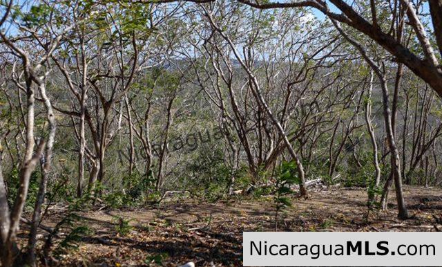 Playa Maderas Bargain 3.1 Acre Property - Image 9