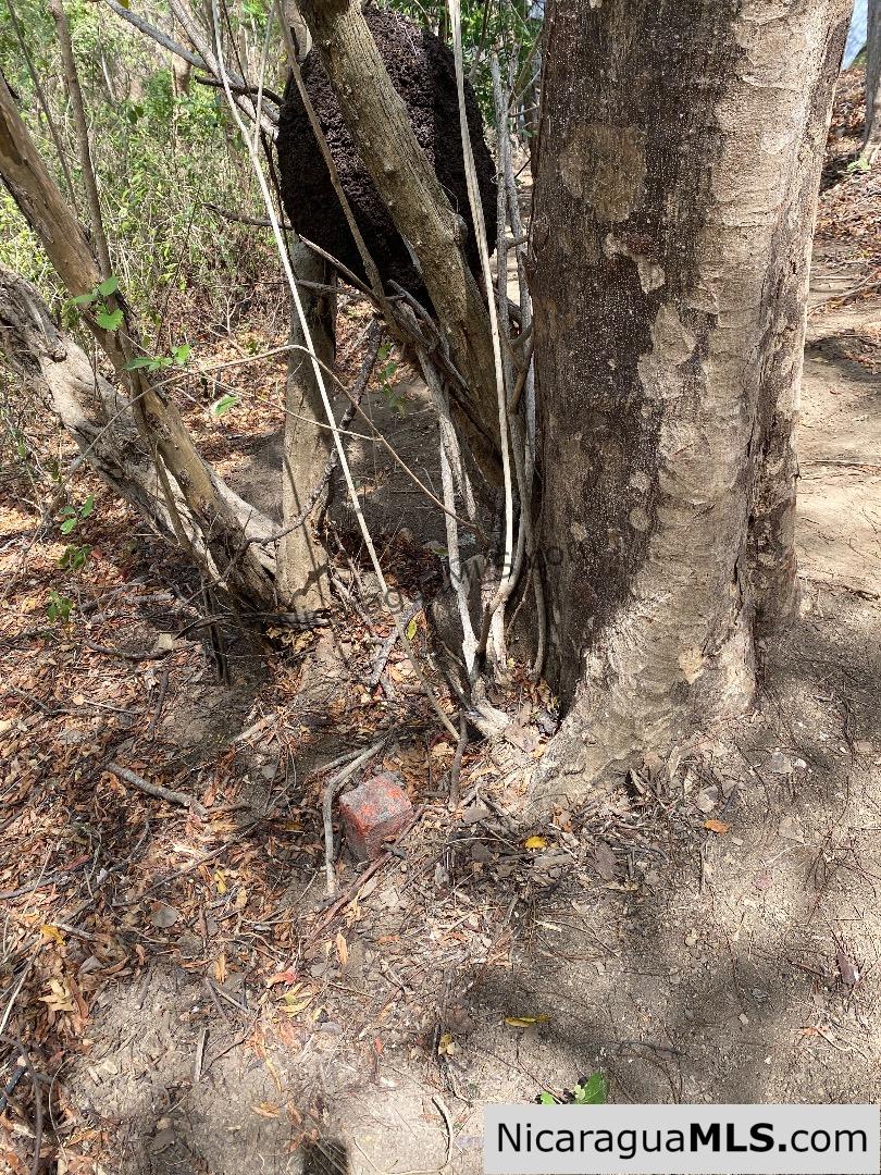 SOLD - Small ocean view lot at Playa Maderas - Image 11
