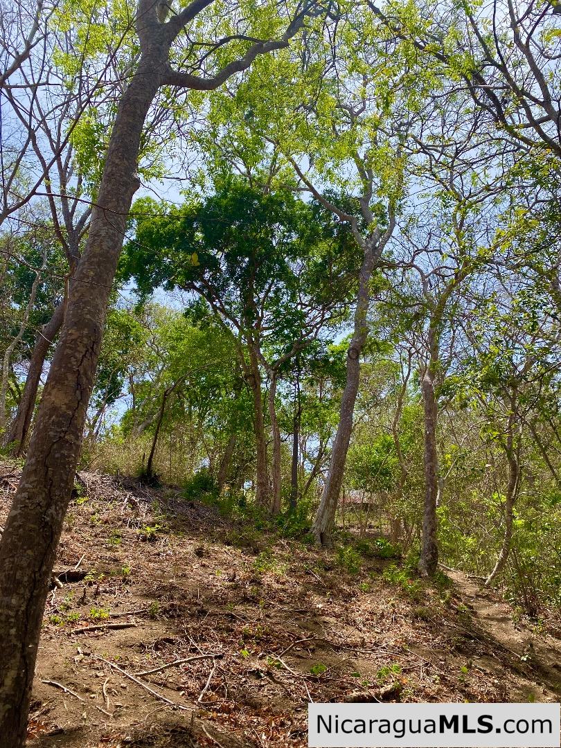 SOLD - Small ocean view lot at Playa Maderas - Image 8