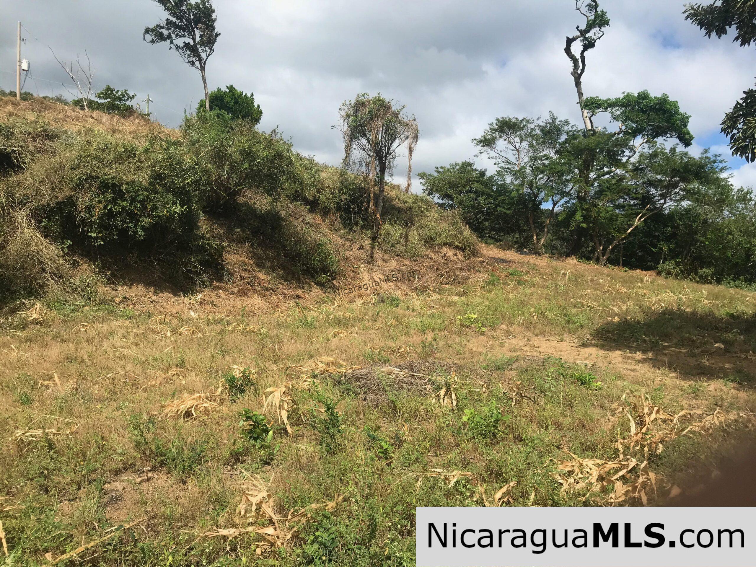 Las Escaleras Lot 10 - Image 7