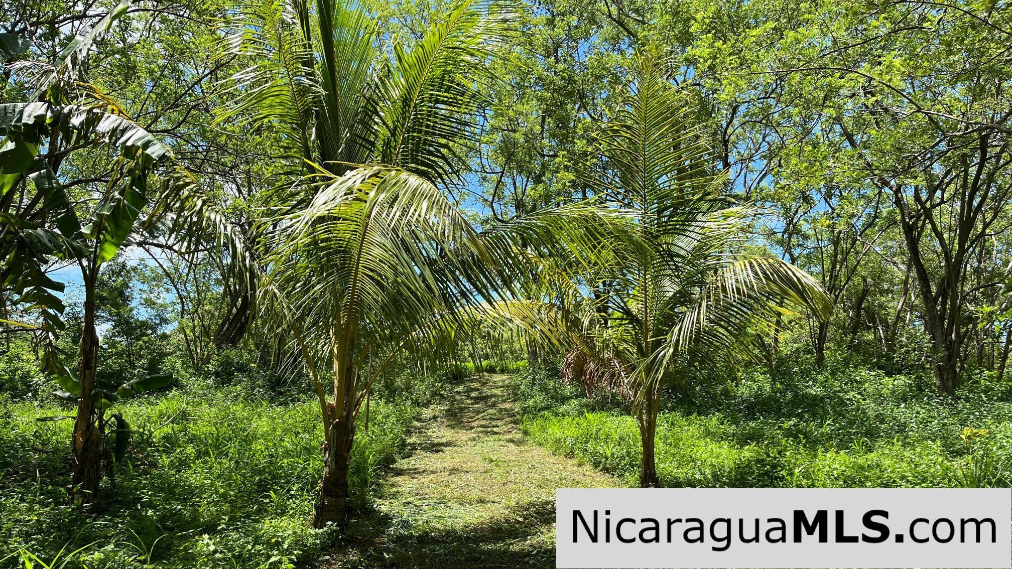 Casita Plus Land in El Oro San Juan Del Sur Nicaragua - Image 9