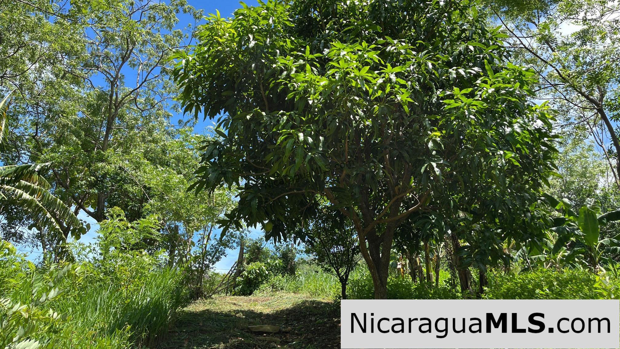 Casita Plus Land in El Oro San Juan Del Sur Nicaragua - Image 7