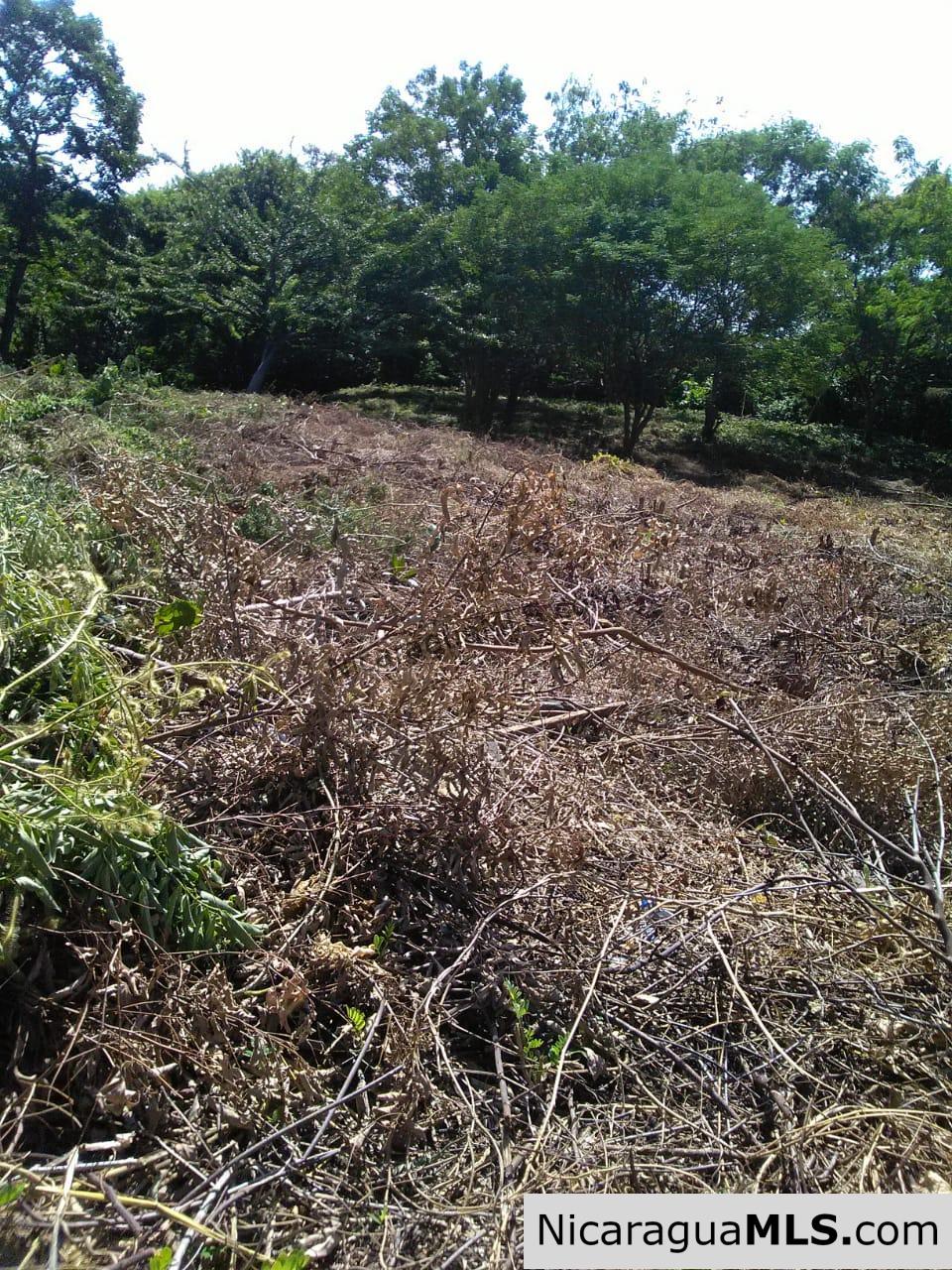 Ocean View Lot 46 for sale in Lomas de Palermo Overlooking SJDS - Image 4