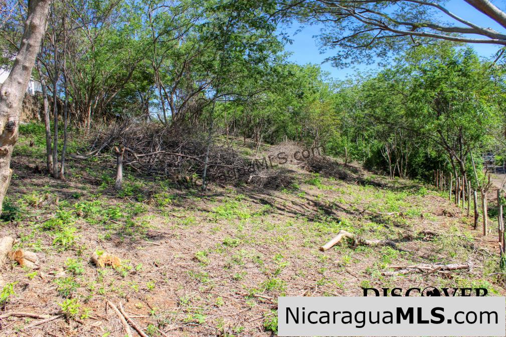 Lomas de San Juan Privileged Neighborhood and View Lot - Image 6