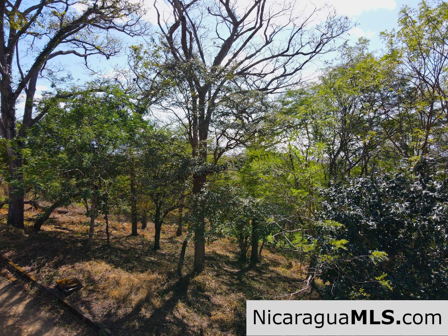 Vista Cinco Bahias lot 10 at Playa Maderas, north of San Juan del Sur - Image 11
