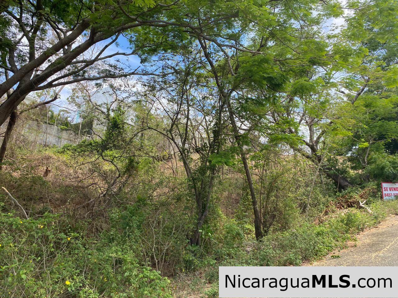 Lot 39 in Lomas de San Juan - Image 4