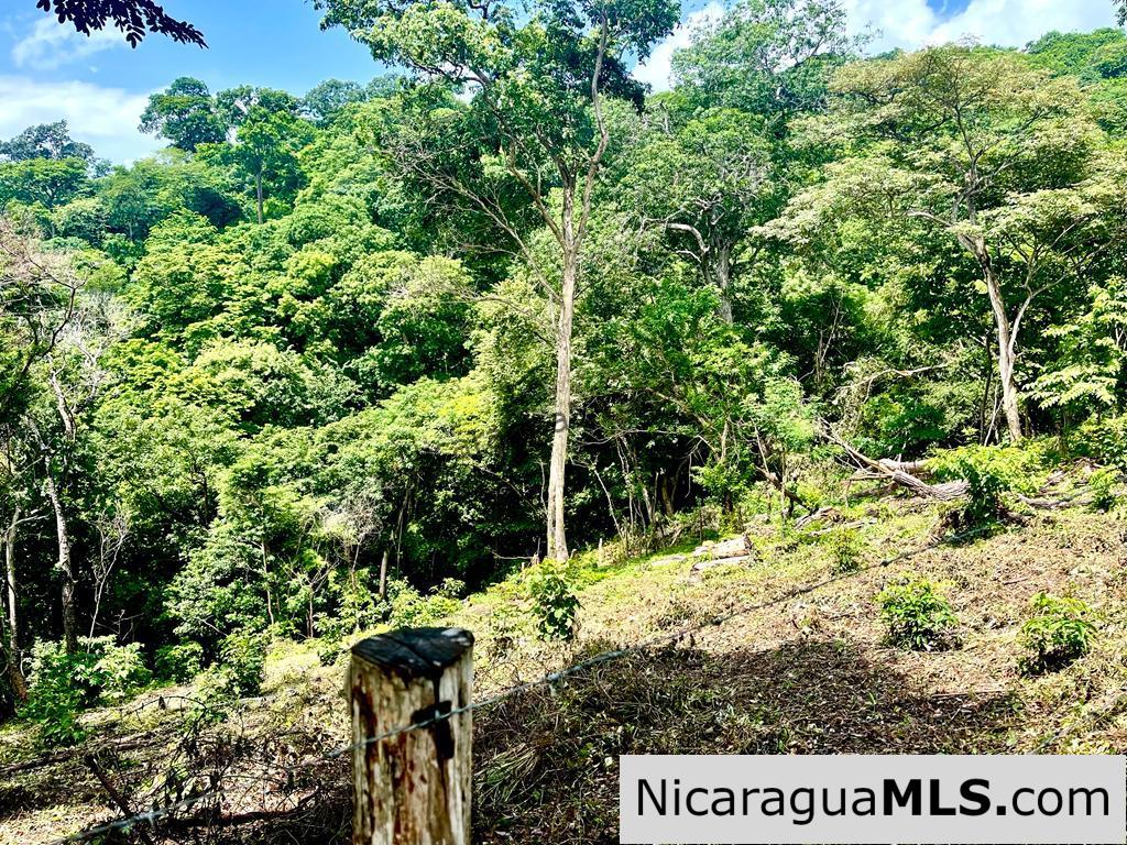Lot Opportunity in Playa Maderas - Image 4