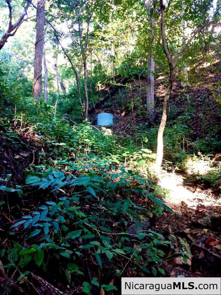 Lot Opportunity in Playa Maderas - Image 5