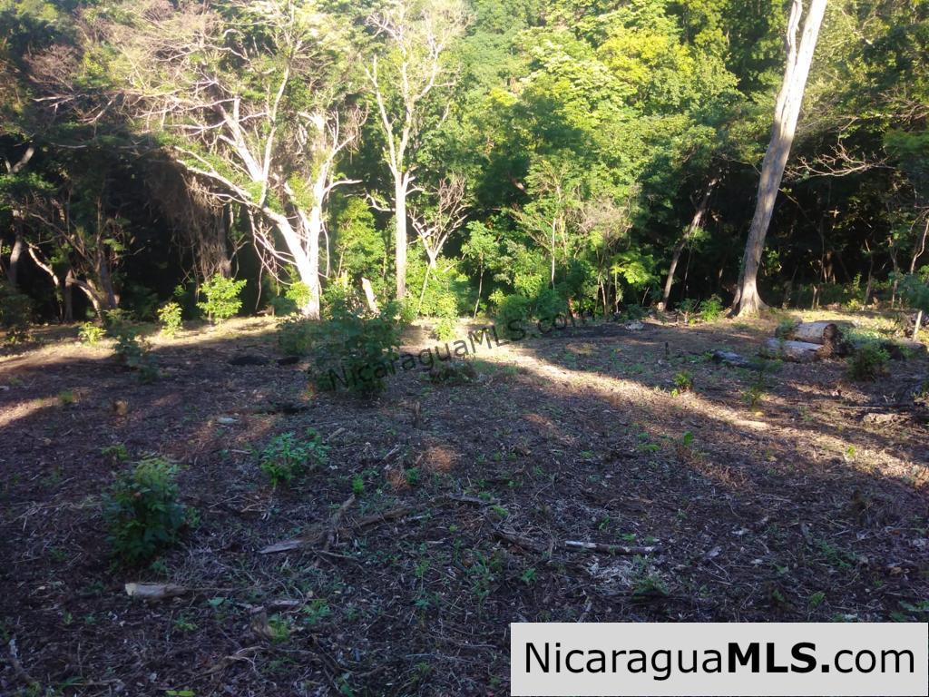 Lot Opportunity in Playa Maderas - Image 6