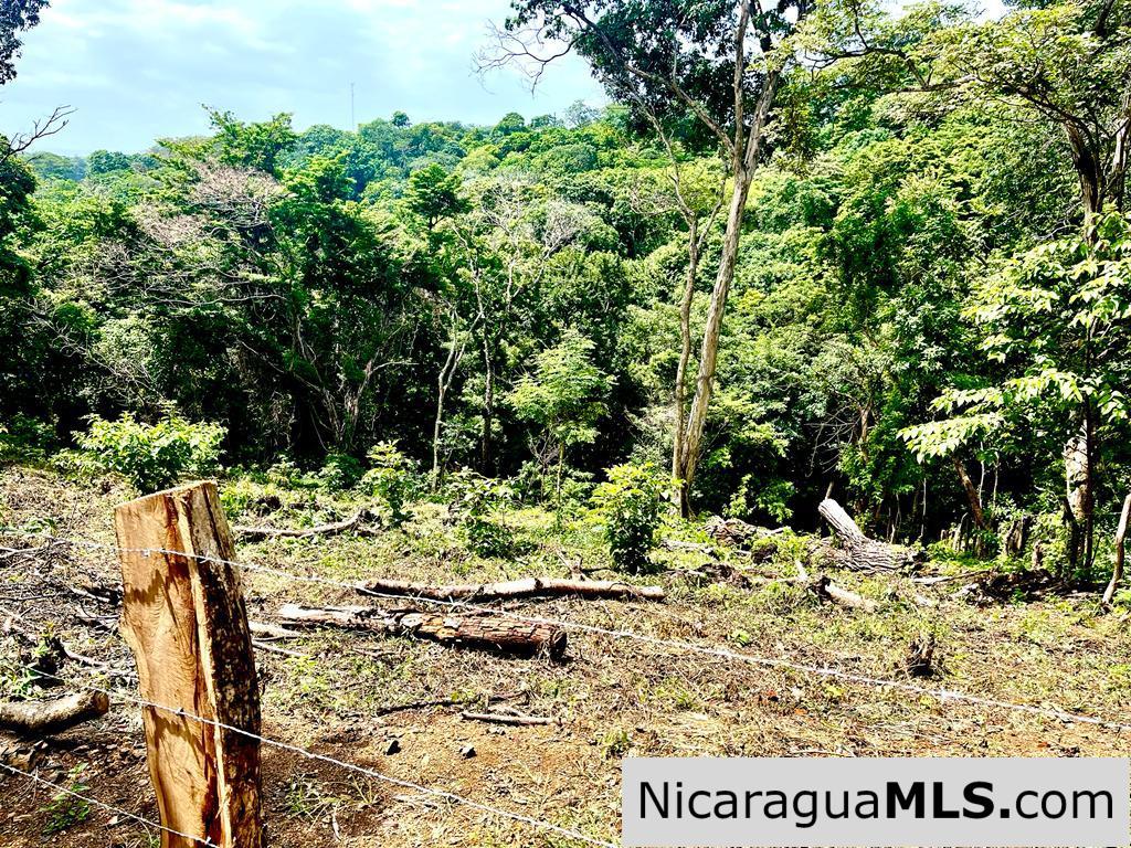Lot Opportunity in Playa Maderas - Image 2