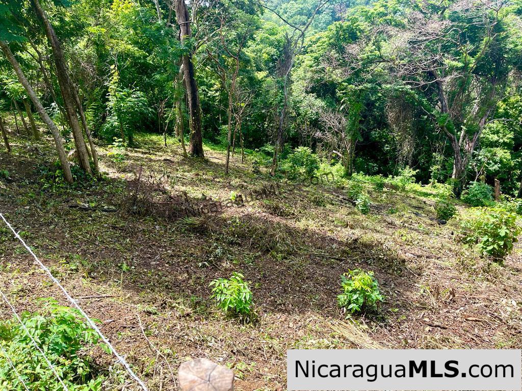 Lot Opportunity in Playa Maderas - Image 3