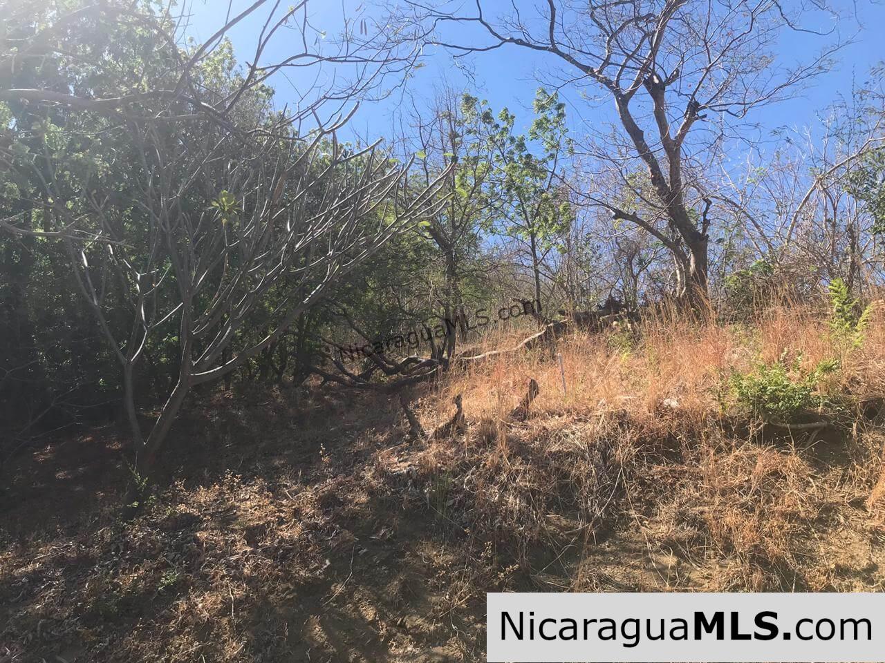 Lot with panoramic view located on the slopes of Pacific Marlin, San Juan del Sur. - Image 3