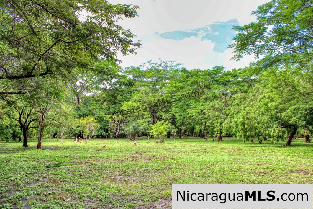 Beautiful Park Setting 4.5 Acres on Road to Maderas - Image 3