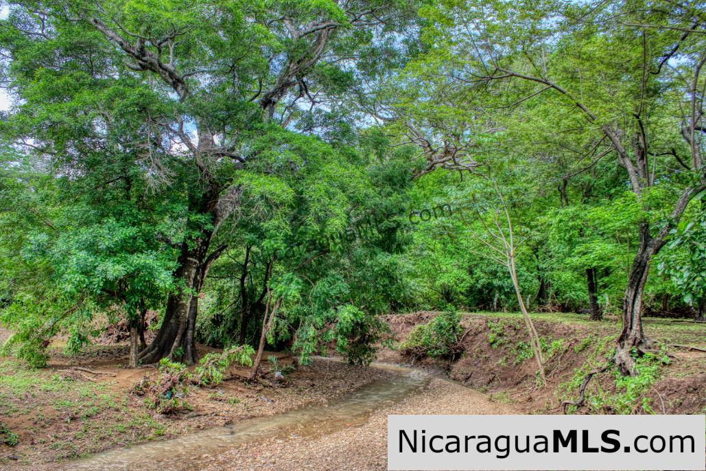Beautiful Park Setting 4.5 Acres on Road to Maderas - Image 8
